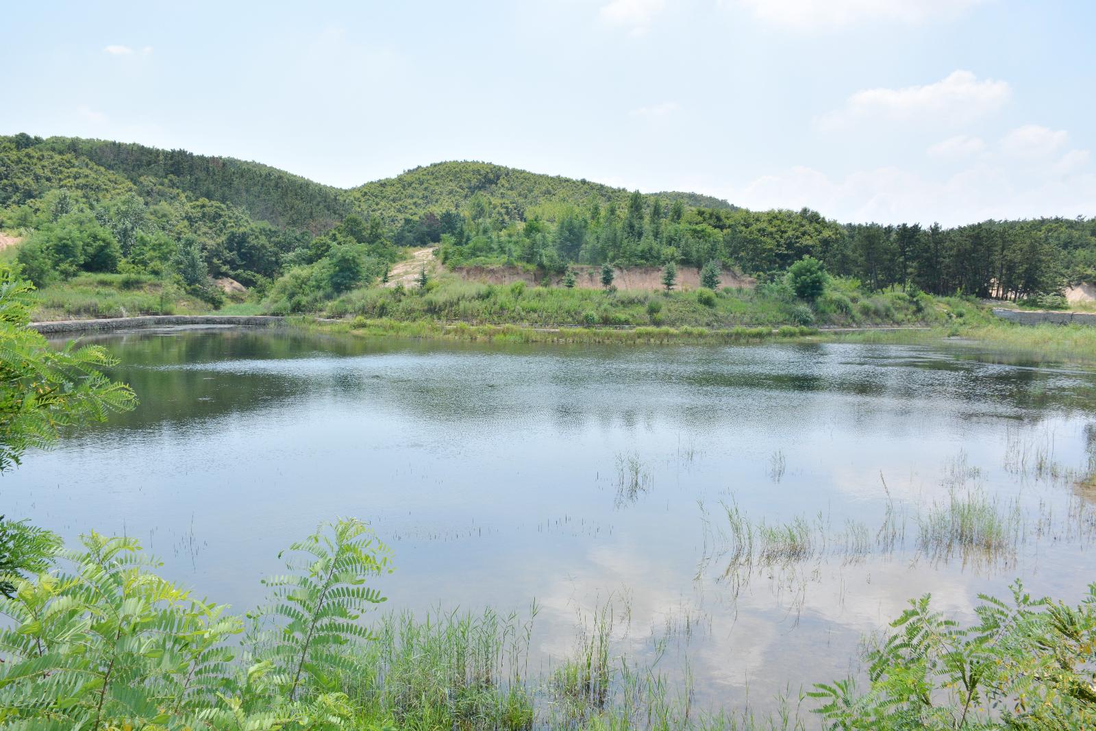 20180803文登佳霖生态园 (15).JPG